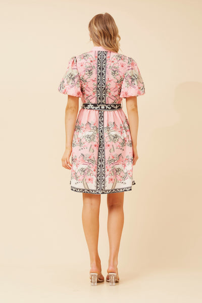 Phoebe Shirt Dress