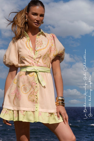 Alice Button Down Mini Dress