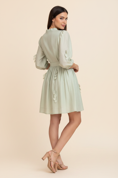 Francine Embellished Dress Sage — Back