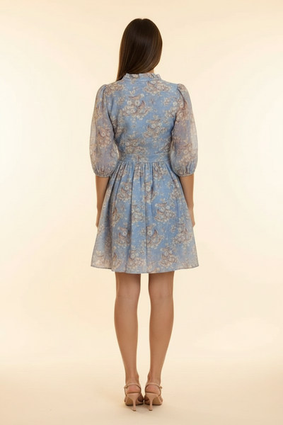 Jennifer Print Mini Dress Blue — Back